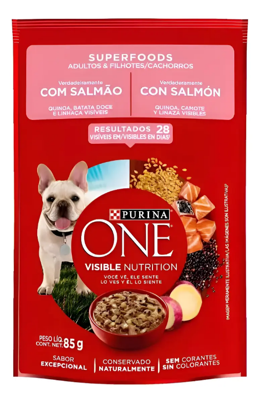 ONE CAES SALMAO SUPERFOODS ADLT E FILH 30un