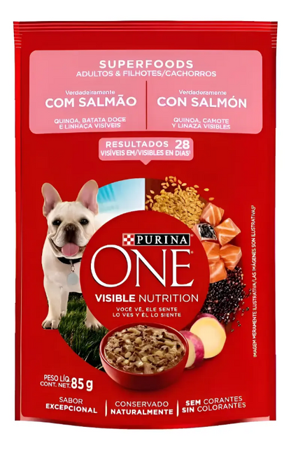 ONE CAES SALMAO SUPERFOODS ADLT E FILH 15un
