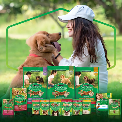 DOG CHOW FILH TDTM CARNE 15un