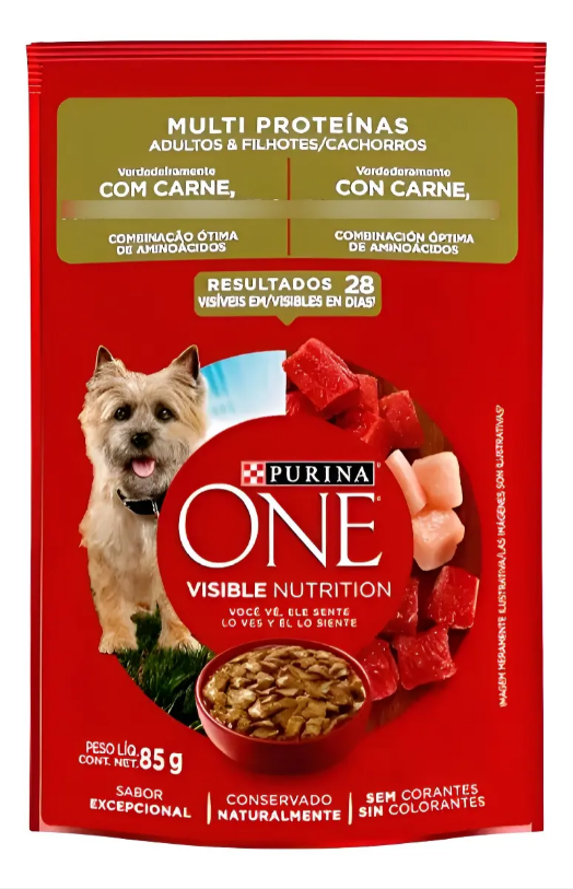 ONE CAES CARNE MULTI PROTEINA ADLT E FILH 60un