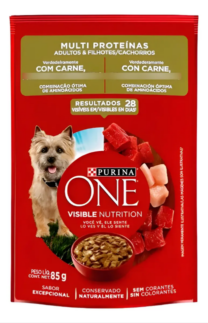 ONE CAES CARNE MULTI PROTEINA ADLT E FILH 60un